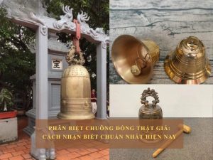 phan biet chuong dong that gia